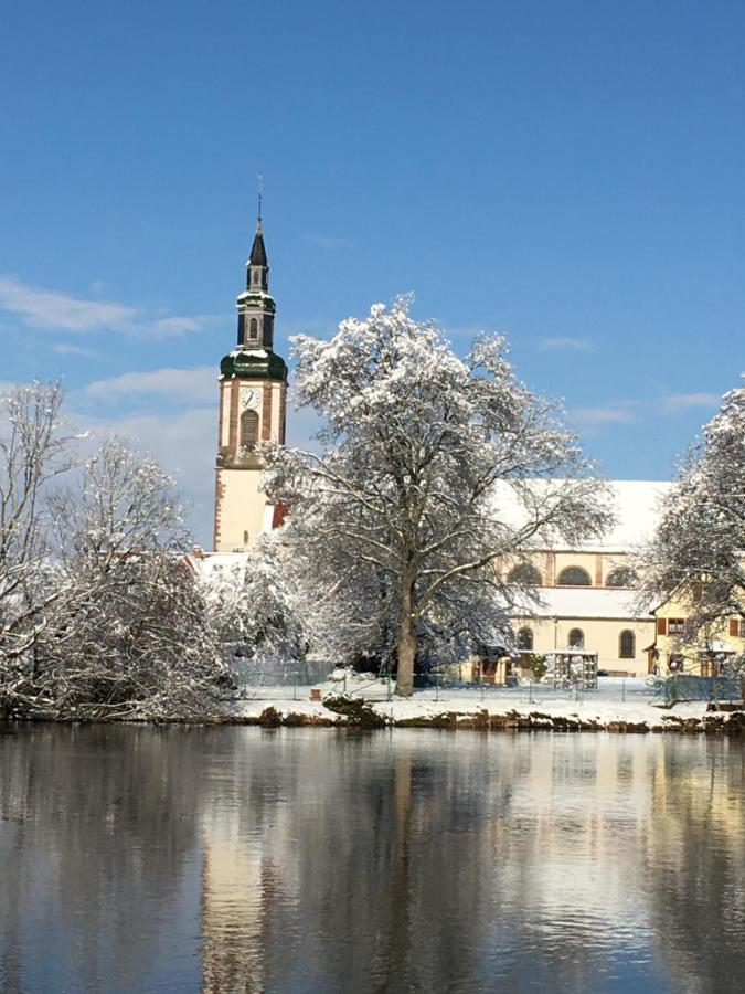 Ferienwohnung Bienvenue En Alsace Huttenheim Exterior foto