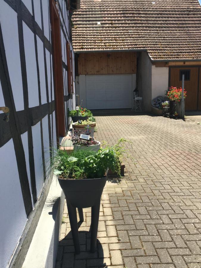 Ferienwohnung Bienvenue En Alsace Huttenheim Exterior foto