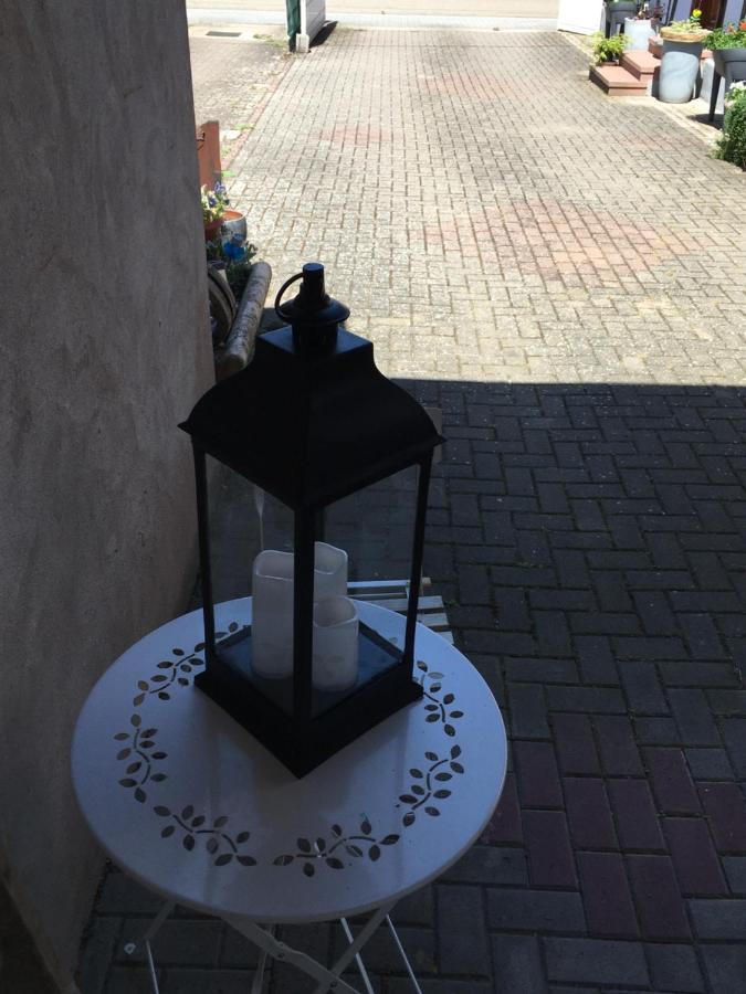 Ferienwohnung Bienvenue En Alsace Huttenheim Exterior foto