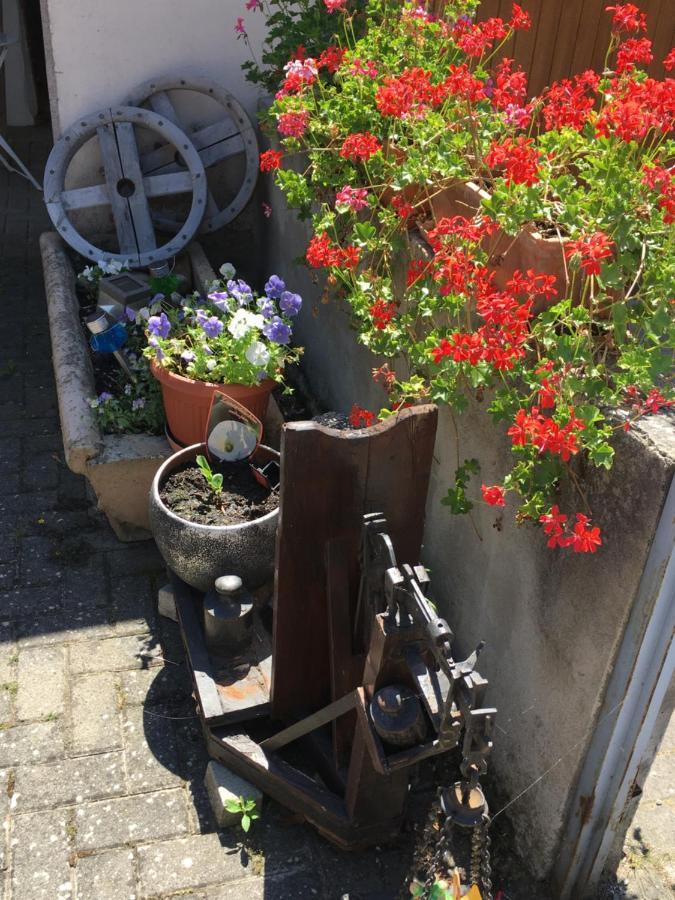 Ferienwohnung Bienvenue En Alsace Huttenheim Exterior foto